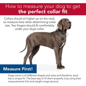 SecureAway Dog Flea Collar Protector, 18-26-in, MultiPaw