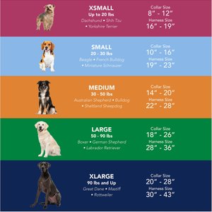 SecureAway Dog Flea Collar Protector, 18-26-in, MultiPaw