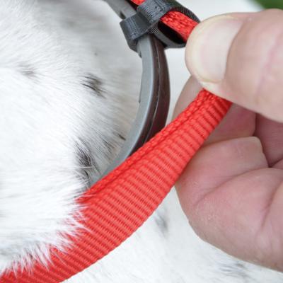 Show full view: SecureAway Dog Flea Collar Protector, 18-26-in, Red + Seresto Flea & Tick Collar for Dogs, over 18-lbs, 1 Collar (8-mos. supply) slide 4 of 10