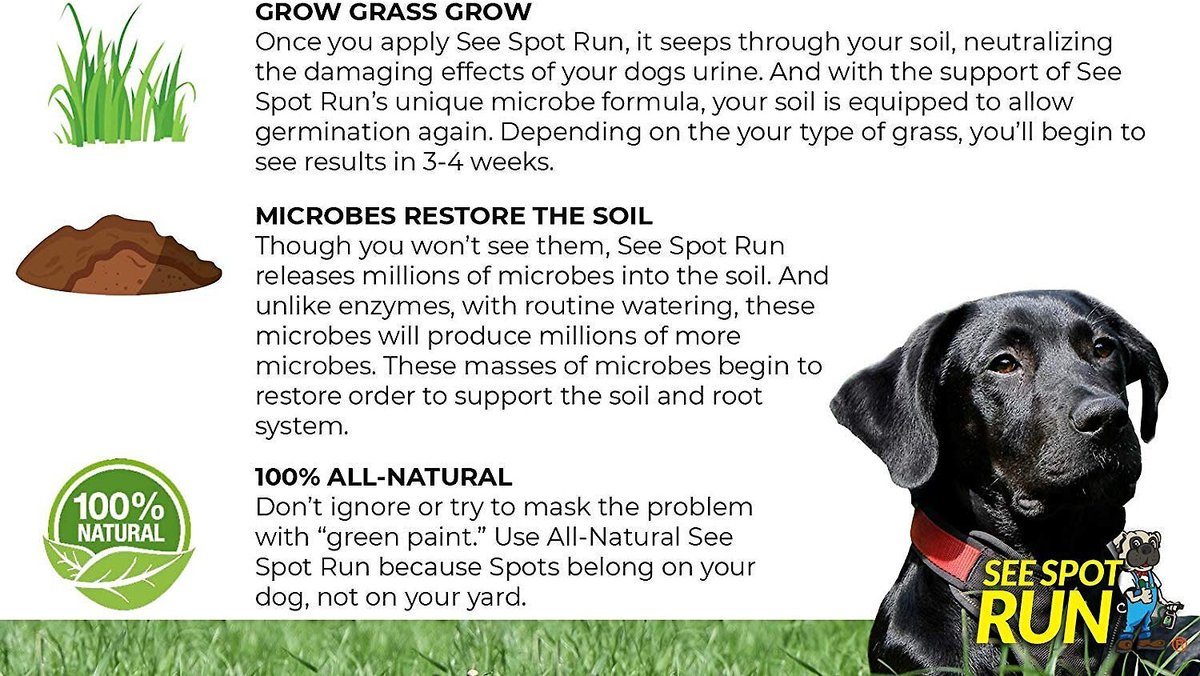SEE SPOT RUN Dog Urine Grass Saver, 32-fl oz bottle - Chewy.com