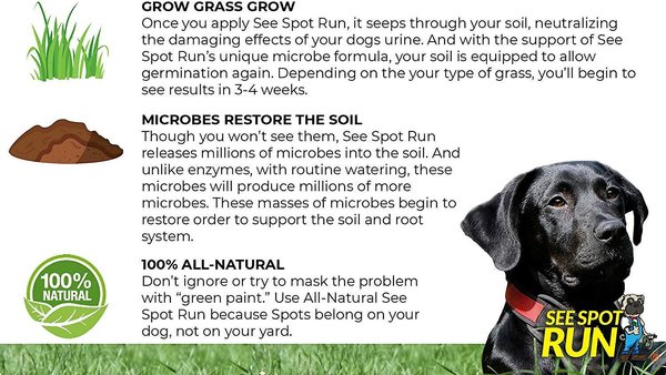 See Spot Run Grass Saver Home Depot SEE SPOT RUN Dog Urine Grass Saver, 32-fl oz bottle - Chewy.com