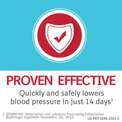 Show full view: Semintra (telmisartan) Oral Solution for Cats, 10 mg/mL, 35-mL slide 4 of 13