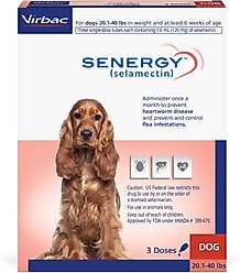 Senergy Topical Solution for Dogs, 20.1-40 lbs, (Red Box), 3 Doses (3-mos. supply)