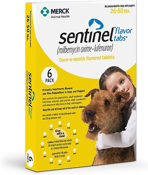 chewy pet meds reviews