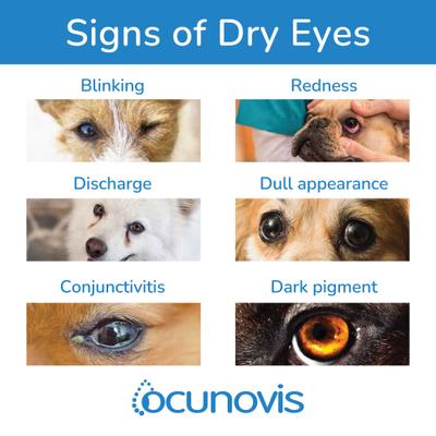 Show full view: Domes Pharma Ocunovis BioHance Eye Drops for Dogs & Cats, 10-ml bottle slide 4 of 13