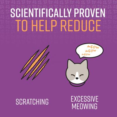 Show full view: Sentry Calming Diffuser for Cats, Diffuser slide 4 of 9