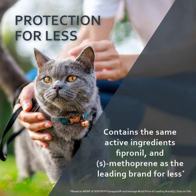 Show full view: Sentry FiproGuard Flea & Tick Spot Treatment for Cats, 6 Doses (6-mos. supply) slide 6 of 10