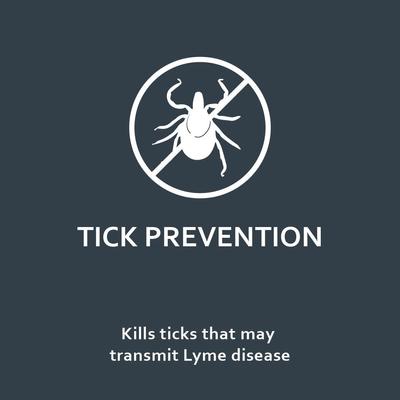Show full view: Sentry FiproGuard Flea & Tick Spot Treatment for Cats, 6 Doses (6-mos. supply) slide 3 of 10