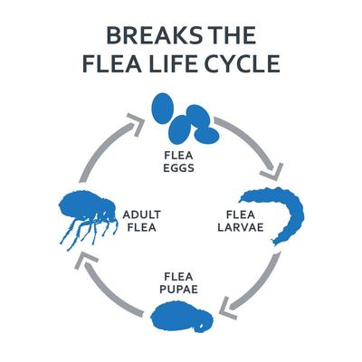 Show full view: Sentry FiproGuard Flea & Tick Spot Treatment for Dogs, 23-44 lbs, 6 Doses (6-mos. supply) slide 4 of 9