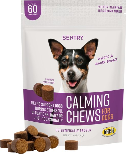 best calming supplement for dogs