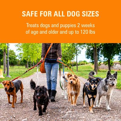 Show full view: Sentry HC WormX DS Dewormer for Hookworms & Roundworms for Dogs, 2-fl oz bottle slide 6 of 7