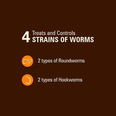 Show full view: Sentry HC WormX DS Dewormer for Hookworms & Roundworms for Dogs, 2-fl oz bottle slide 3 of 7