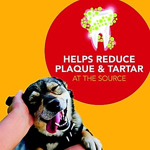 Sentry Petrodex Advanced Care Enzymatic Chicken Flavor Dog Dental Kit