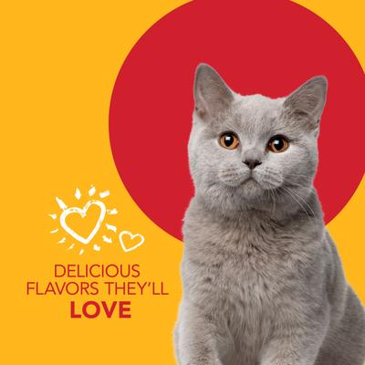 Show full view: Sentry Petrodex Veterinary Strength Enzymatic Malt Flavor Cat Dental Kit slide 5 of 8