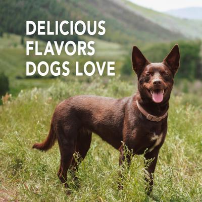 Show full view: Sentry Petrodex Veterinary Strength Enzymatic Poultry Flavor Dog Toothpaste, 2.5-oz slide 4 of 10