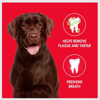 Show full view: Sentry Petrodex Veterinary Strength Enzymatic Poultry Flavor Dog Toothpaste, 2.5-oz slide 5 of 10