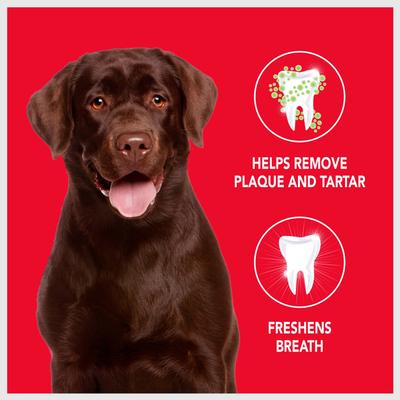 Show full view: Sentry Petrodex Veterinary Strength Enzymatic Poultry Flavor Dog Toothpaste, 6.2-oz slide 5 of 11