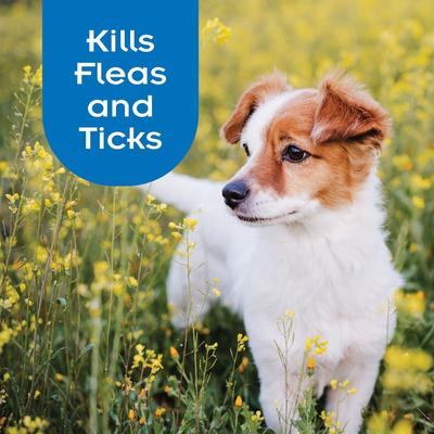 Show full view: Sentry Pro Flea & Tick Dog Shampoo, 18-fl oz bottle slide 4 of 8