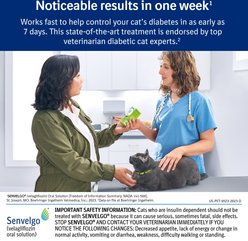 Senvelgo (velagliflozin oral solution) Oral Hypoglycemic for Cats, 15 mg/mL, 12 mL slide 2 of 7