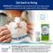 Show in main carousel: Senvelgo (velagliflozin oral solution) Oral Hypoglycemic for Cats, 15 mg/mL, 12 mL slide 3 of 8
