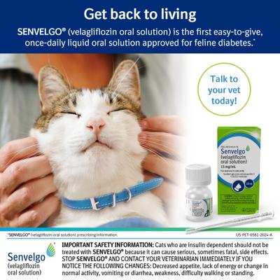 Show full view: Senvelgo (velagliflozin oral solution) Oral Hypoglycemic for Cats, 15 mg/mL, 12 mL slide 3 of 8