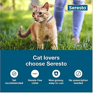 Seresto Flea & Tick Collar for Cats, 1 Collar (8-mos. supply) slide 3 of 7
