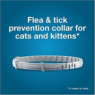 Seresto Flea & Tick Collar for Cats, 1 Collar (8-mos. supply) slide 4 of 7