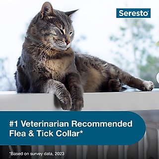 Seresto Flea & Tick Collar for Cats, 1 Collar (8-mos. supply) slide 5 of 7