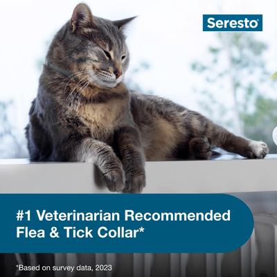 Show full view: Seresto Flea & Tick Collar for Cats, 2 Collars (16-mos. supply) slide 4 of 10