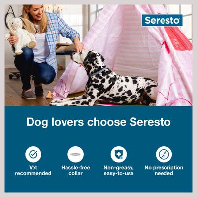 Seresto Flea & Tick Collar for Dogs, over 18 lbs