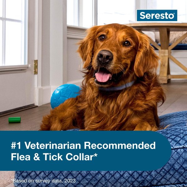 Show full view: Seresto Flea & Tick Collar for Dogs, over 18-lbs, 1 Collar (8-mos. supply) slide 5 of 9