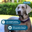Show in main carousel: Seresto Flea & Tick Collar for Dogs, over 18-lbs, 1 Collar (8-mos. supply) slide 6 of 9