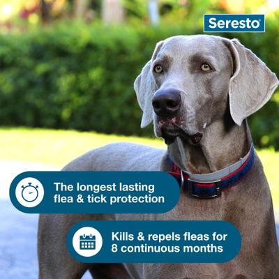 Show full view: Seresto Flea & Tick Collar for Dogs, over 18-lbs, 2 Collars (16-mos. supply) slide 5 of 10