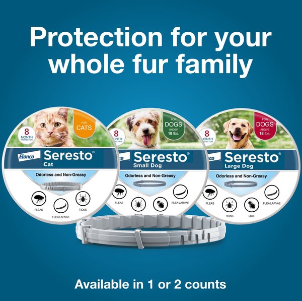 Show full view: Seresto Flea & Tick Collar for Dogs, over 18-lbs, 2 Collars (16-mos. supply) slide 7 of 10