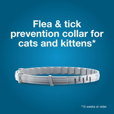 Show full view: Seresto Flea & Tick Collar for Dogs, over 18-lbs + Flea & Tick Collar for Cats slide 6 of 8