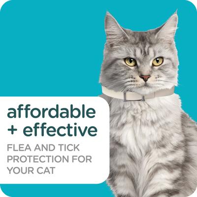Show full view: Sergeant's Guardian Pro Flea & Tick Cat Collar slide 3 of 7
