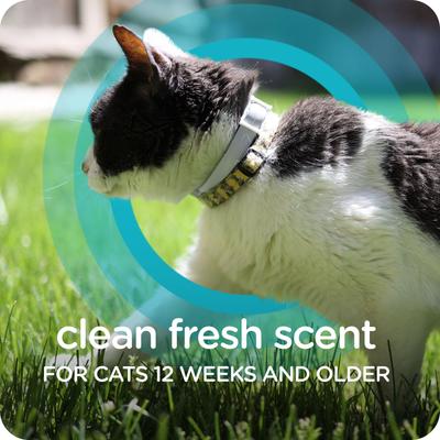 Show full view: Sergeant's Guardian Pro Flea & Tick Cat Collar slide 5 of 7