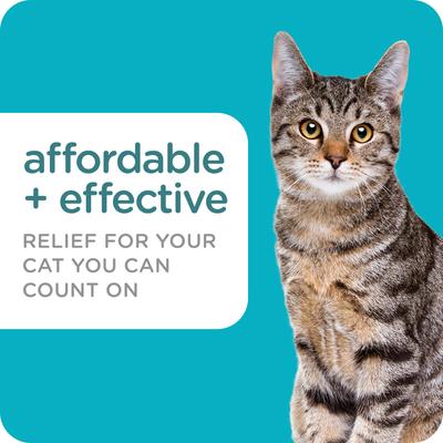 Show full view: Sergeant's Guardian Pro Flea & Tick Topical Cat Treatment, over 6-lb, 3 count slide 3 of 5