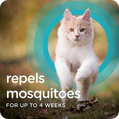 Show full view: Sergeant's Guardian Pro Flea & Tick Topical Cat Treatment, over 6-lb, 3 count slide 5 of 5