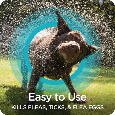 Show full view: Sergeant's Guardian Spring Freesia Pro Flea & Tick Dog Shampoo slide 5 of 6