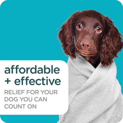 Show full view: Sergeant's Guardian Spring Freesia Pro Flea & Tick Dog Shampoo slide 3 of 6