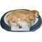 Show in main carousel: Serta Oval Couch Cat & Dog Bed, Blue, Large slide 1 of 4