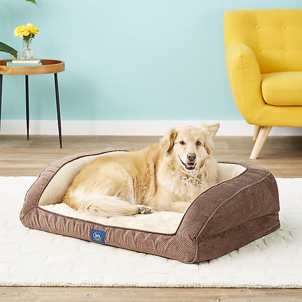 memory foam pet bed large