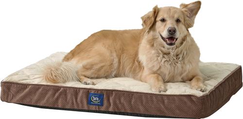 Show full view: Serta Quilted Orthopedic Pillowtop Dog Bed with Removable Cover, Mocha, Large slide 3 of 9