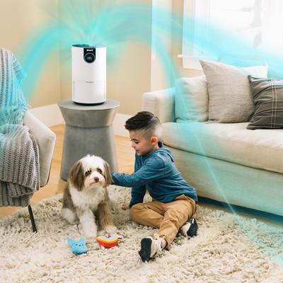 Show full view: Shark HP102 Air Purifier with True HEPA, White slide 6 of 9