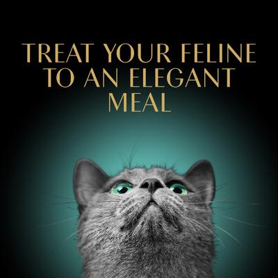 Show full view: Sheba Gravy Indulgence Chicken & Beef in Extra Gravy Variety Pack Grain-Free Adult Wet Cat Food, 2.6-oz tray, case of 24 slide 9 of 11