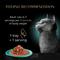 Show in main carousel: Sheba Gravy Indulgence Salmon & White Fish in Gravy Variety Pack Grain-Free Adult Wet Cat Food, 2.6-oz tray, case of 24 slide 8 of 11