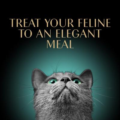 Show full view: Sheba Gravy Indulgence Salmon & White Fish in Gravy Variety Pack Grain-Free Adult Wet Cat Food, 2.6-oz tray, case of 24 slide 9 of 11