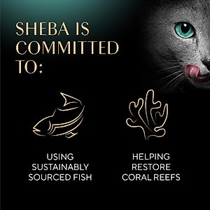Sheba Meaty Sticks Variety Pack Chicken, Salmon & Tuna Flavor Soft Adult Cat Treats, 40 count