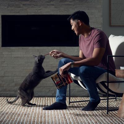 Show full view: Sheba Meaty Tender Sticks Chicken Flavor Soft Adult Cat Treats, 20 count slide 10 of 11